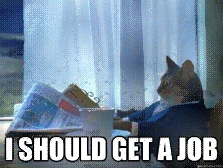 The meme of the cat reading a newspapers, saying 'I should get a job'